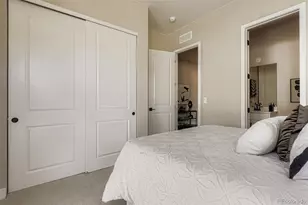 2011 Grayside Cir, Castle Rock, CO 80109 - Photo 20