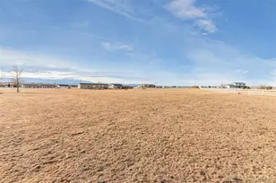 6545 Connie Lee Ct, Peyton, CO 80831 - Photo 4