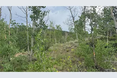 007 Virginia Canyon Road, Central City, CO 80427 - Photo 6