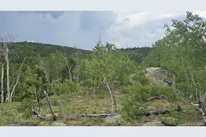 007 Virginia Canyon Road, Central City, CO 80427 - Photo 14