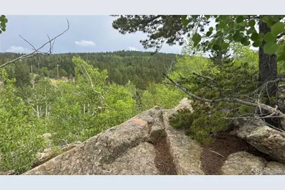 007 Virginia Canyon Road, Central City, CO 80427 - Photo 10