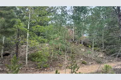 007 Virginia Canyon Road, Central City, CO 80427 - Photo 24