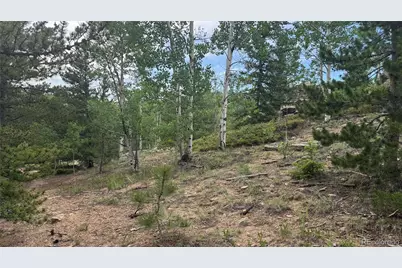007 Virginia Canyon Road, Central City, CO 80427 - Photo 22