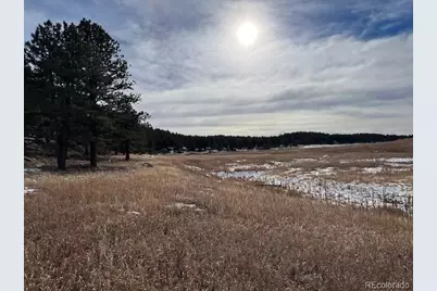 10555 Big Sky Trail, Elbert, CO 80106 - Photo 8