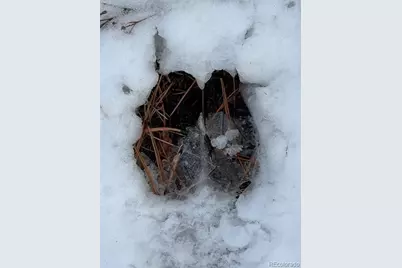 10555 Big Sky Trail, Elbert, CO 80106 - Photo 10