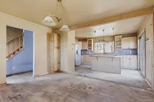 8367 S Warhawk Way, Conifer, CO 80433 - Photo 10