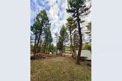 29230 S Sunset Trail, Conifer, CO 80433 - Photo 16