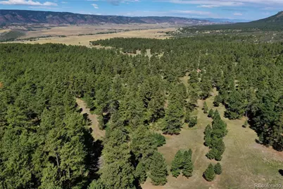 Kinnikinnik Drive, Larkspur, CO 80118 - Photo 2