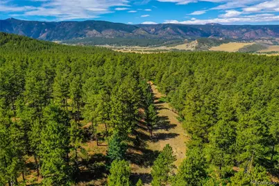 Kinnikinnik Drive, Larkspur, CO 80118 - Photo 10