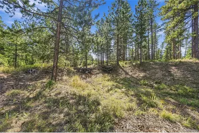 Kinnikinnik Drive, Larkspur, CO 80118 - Photo 14
