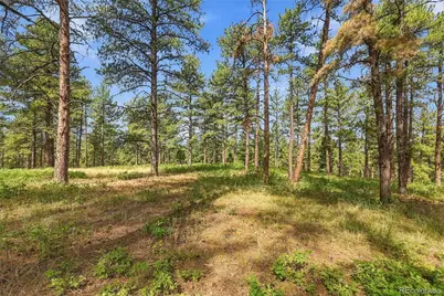 Kinnikinnik Drive, Larkspur, CO 80118 - Photo 20