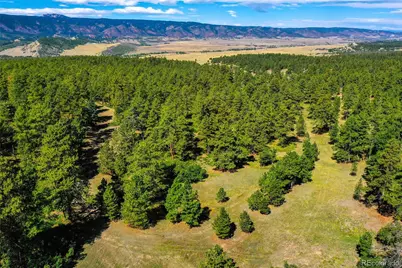 Kinnikinnik Drive, Larkspur, CO 80118 - Photo 4