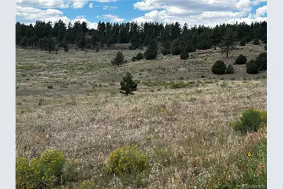 525 County Road 321, Westcliffe, CO 81252 - Photo 4