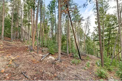 8477 Drew Hill Road, Golden, CO 80403 - Photo 40