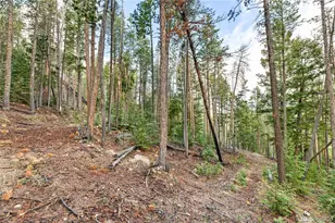 8477 Drew Hill Rd, Golden, CO 80403 - Photo 40