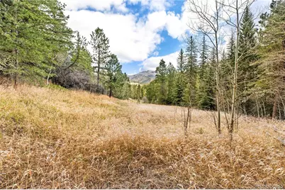 8477 Drew Hill Road, Golden, CO 80403 - Photo 38