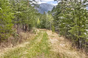 8477 Drew Hill Rd, Golden, CO 80403 - Photo 46
