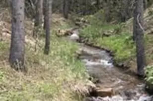 30 Carroll Ct, Black Hawk, CO 80422 - Photo 28