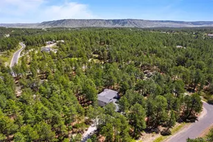 1935 Poncha Ct, Larkspur, CO 80118 - Photo 30