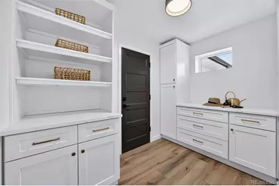 3005 S Race Street, Denver, CO 80210 - Photo 24