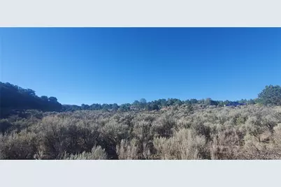 Lot 7363 Bidwell Road, Fort Garland, CO 81133 - Photo 6