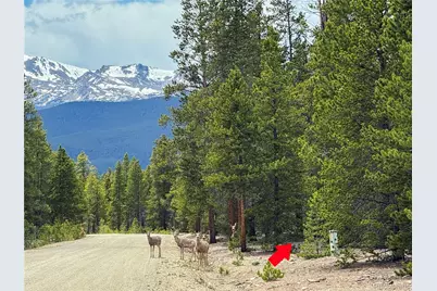 201 Snowshoe Rabbit Drive, Leadville, CO 80461 - Photo 1