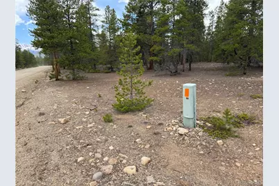 201 Snowshoe Rabbit Drive, Leadville, CO 80461 - Photo 12