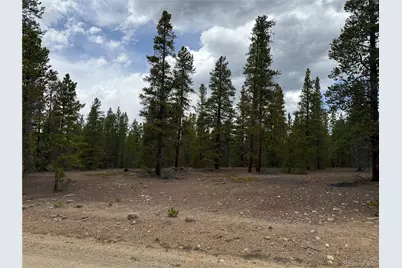 201 Snowshoe Rabbit Drive, Leadville, CO 80461 - Photo 10