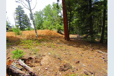 Lot 6029 Spruce Road, San Luis, CO 81152 - Photo 16