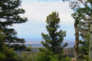 Lot 6029 Spruce Rd, San Luis, CO 81152 - Photo 1