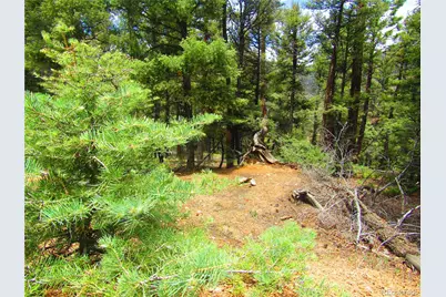 Lot 6029 Spruce Road, San Luis, CO 81152 - Photo 20