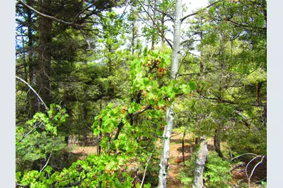 Lot 6029 Spruce Road, San Luis, CO 81152 - Photo 6