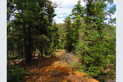 Lot 6029 Spruce Road, San Luis, CO 81152 - Photo 4
