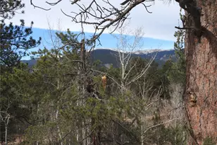 426 Houston St, Bailey, CO 80421 - Photo 40