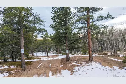 190 Hard Way Road, Ward, CO 80481 - Photo 22