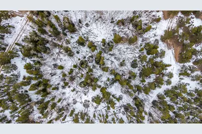 190 Hard Way Road, Ward, CO 80481 - Photo 18