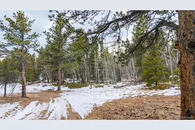 190 Hard Way Road, Ward, CO 80481 - Photo 24