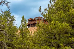 273 Bonell Dr, Fairplay, CO 80440 - Photo 6