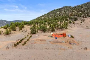 2030 Puma Hills Rd, Lake George, CO 80827 - Photo 22