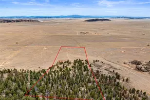 2030 Puma Hills Rd, Lake George, CO 80827 - Photo 4
