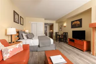 580 Winter Park Dr, Winter Park, CO 80482 - Photo 4