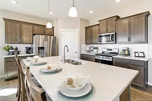 14289 Beebalm Ave, Parker, CO 80134 - Photo 8