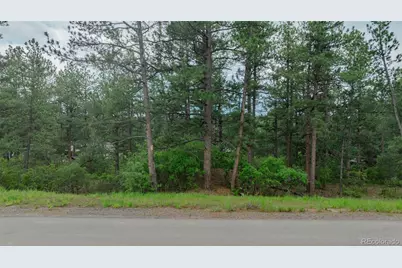 648 Copper Fox Place, Larkspur, CO 80118 - Photo 4