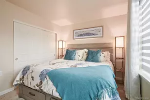 6339 Hanover St, Denver, CO 80238 - Photo 22