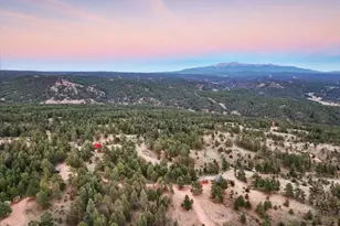 1721 Wildhorn Rd, Florissant, CO 80816 - Photo 48