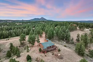1721 Wildhorn Rd, Florissant, CO 80816 - Photo 4