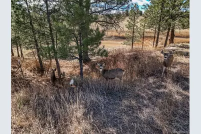 1854 Belgian Trail, Elizabeth, CO 80107 - Photo 44