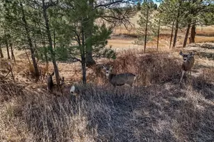 1854 Belgian Trail, Elizabeth, CO 80107 - Photo 46