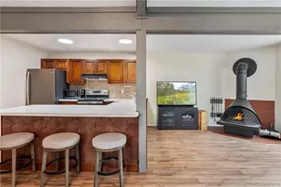 401 Salt Lick Cir, Silverthorne, CO 80498 - Photo 18