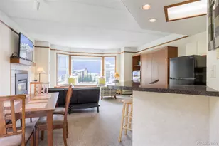 45 Beeler Pl, Frisco, CO 80443 - Photo 14